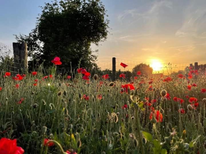 De Lokroep Heers Εξωτερικό φωτογραφία